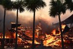 Peran Pemerintah Dalam Penanganan Kebakaran Los Angeles