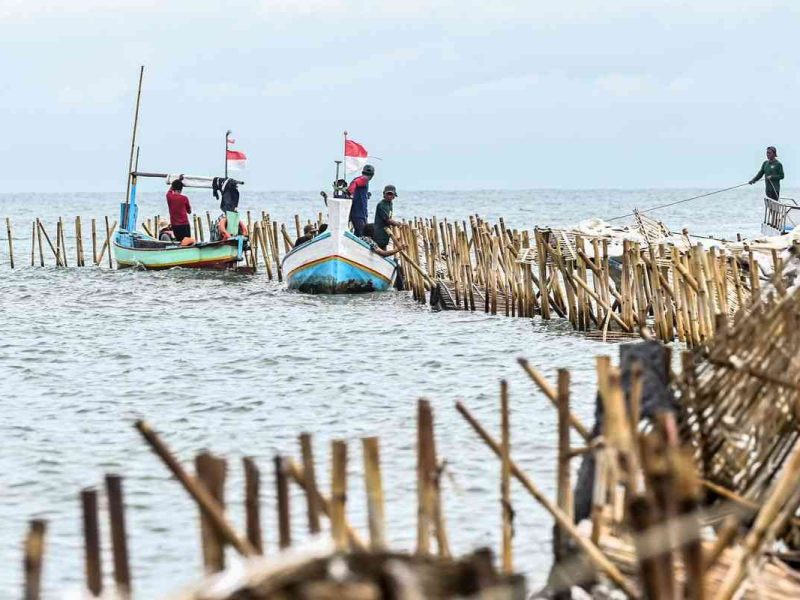Dampak Sosial Pagar Laut Kehilangan Identitas Nelayan