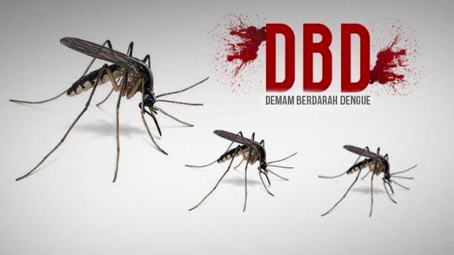Kasus DBD Naik Drastis: Warga Diminta Waspada