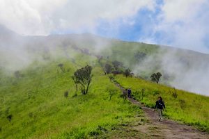 Pendaki Merbabu Tewas Tersambar Petir di Jalur Suwanting