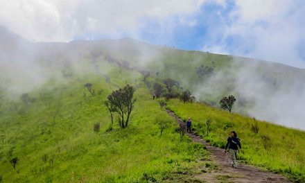 Pendaki Merbabu Tewas Tersambar Petir di Jalur Suwanting
