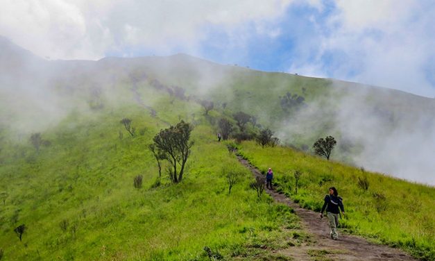 Pendaki Merbabu Tewas Tersambar Petir di Jalur Suwanting