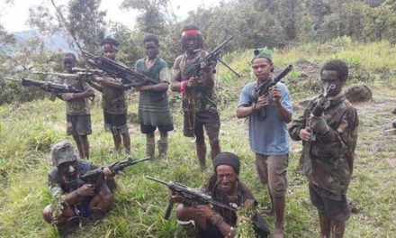 KKB Papua Kini Didominasi Gen Z dan Lebih Brutal