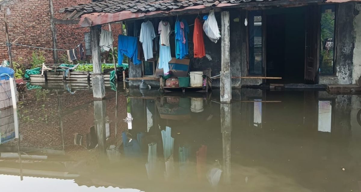 Sayung Masih Terendam 65 Cm, Banjir Demak Belum Juga Surut