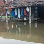 Sayung Masih Terendam 65 Cm, Banjir Demak Belum Juga Surut