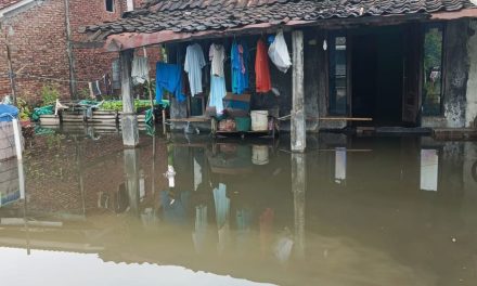 Sayung Masih Terendam 65 Cm, Banjir Demak Belum Juga Surut
