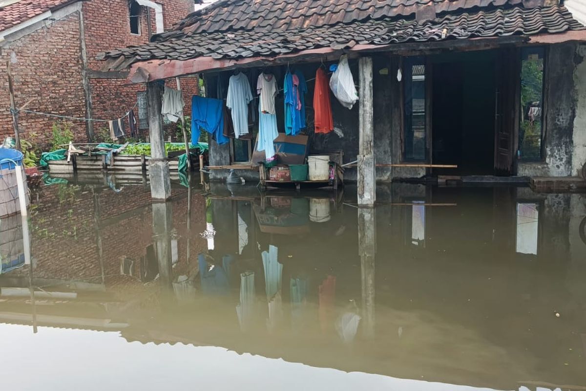 Sayung Masih Terendam 65 Cm, Banjir Demak Belum Juga Surut