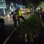 Mahasiswi Tewas Akibat Kecelakaan Tunggal di Jalan Ibrahim Adjie