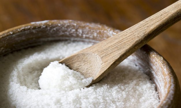 Garam Gak Mempan! Ini Rahasia Ampuh Usir Ular Dari Kap Mobil