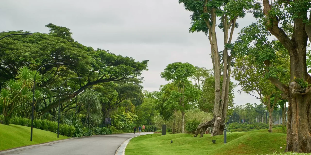 3 Manfaat Unggul Melihat Alam Untuk Kesehatan Mata