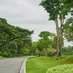 3 Manfaat Unggul Melihat Alam Untuk Kesehatan Mata