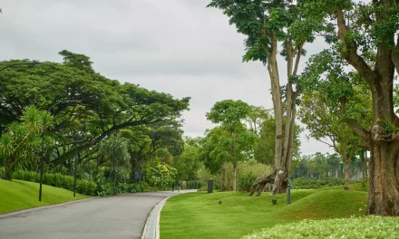 3 Manfaat Unggul Melihat Alam Untuk Kesehatan Mata