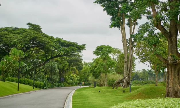 3 Manfaat Unggul Melihat Alam Untuk Kesehatan Mata