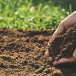 Jangan Terlena! Tanah Subur Pun Ada Umurnya