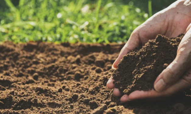 Jangan Terlena! Tanah Subur Pun Ada Umurnya