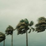 Bumi Makin Bahaya, Tapi Angka Kematian Turun? Ini Alasannya!