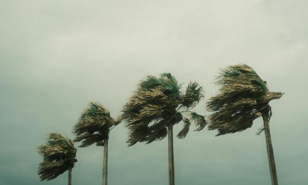 Bumi Makin Bahaya, Tapi Angka Kematian Turun? Ini Alasannya!