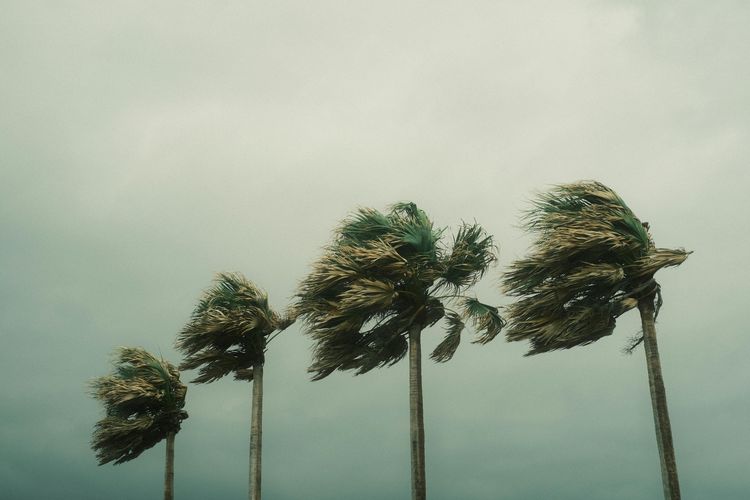 Bumi Makin Bahaya, Tapi Angka Kematian Turun? Ini Alasannya!