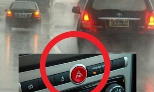 Edukasi Jalanan: Berhenti Salah Artikan Fungsi Lampu Hazard!