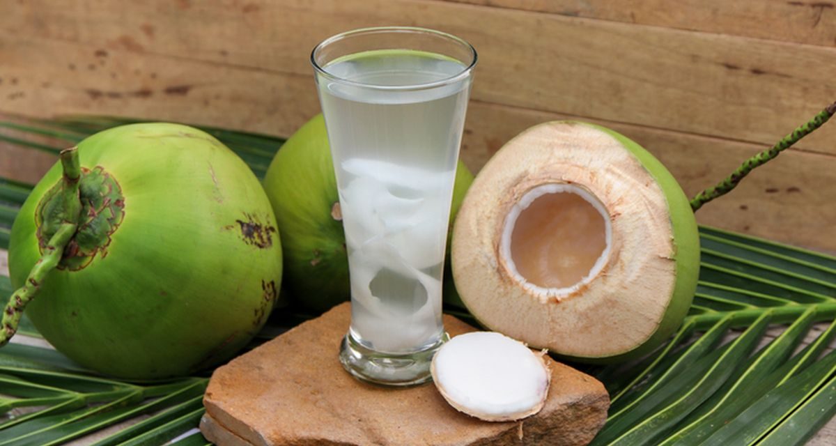Mengintip Khasiat Air Kelapa yang Ternyata Di Akui Oleh Sains