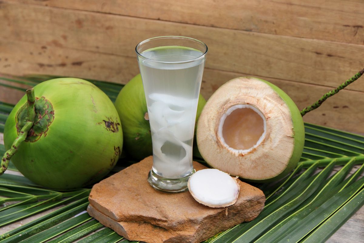 Mengintip Khasiat Air Kelapa yang Ternyata Di Akui Oleh Sains