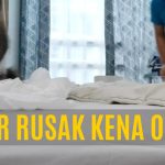 Tips Membersihkan Pipis Kucing Di Kasur Agar Bersih Dan Wangi