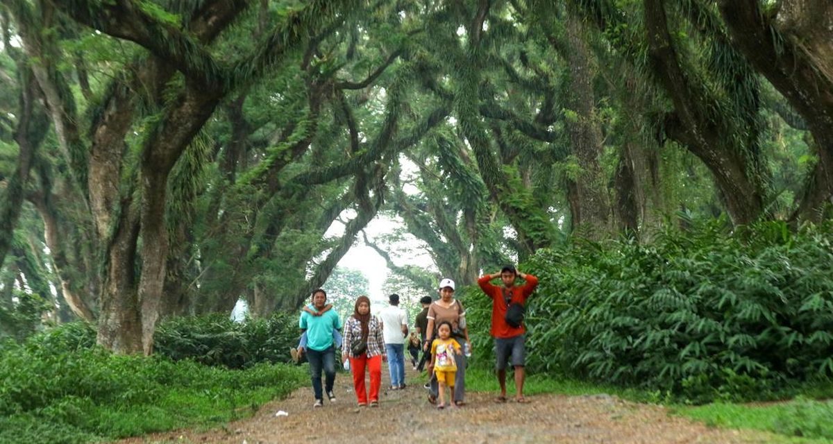 3 Destinasi Rahasia Di Banyuwangi Yang Super Indah