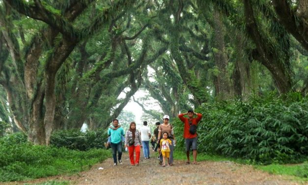 3 Destinasi Rahasia Di Banyuwangi Yang Super Indah