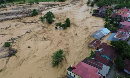 Banjir Terus, Bukti Hutan Kita Makin Rusak