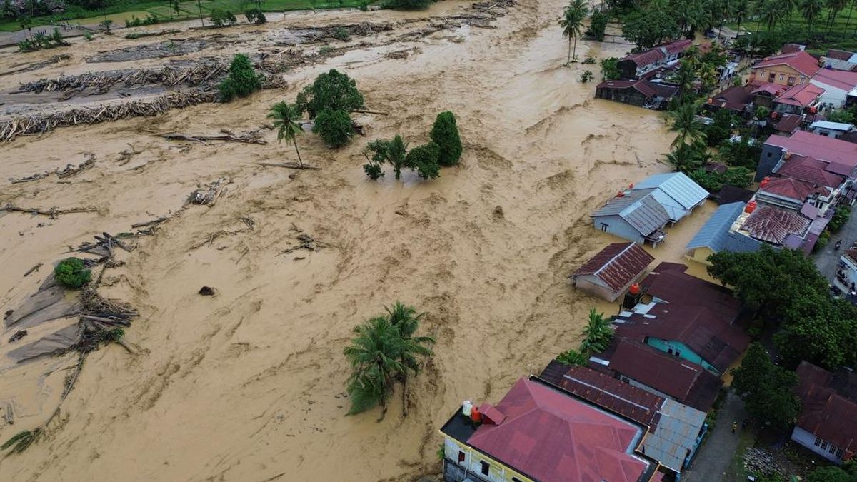 Banjir Terus, Bukti Hutan Kita Makin Rusak